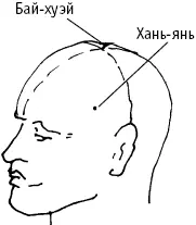Рис 23 в Рис 23 д Ханьянь трясти головой и унять тряску - фото 9