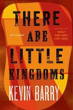 Kevin Barry There Are Little Kingdoms обложка книги