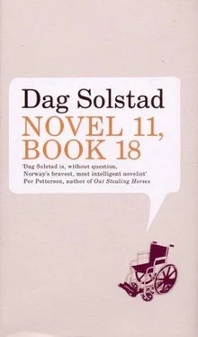 Dag Solstad Novel 11, Book 18 обложка книги