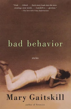 Mary Gaitskill Bad Behavior