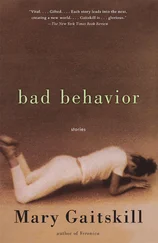 Mary Gaitskill - Bad Behavior