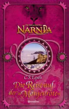 Clive Lewis Ein Schiff aus Narnia обложка книги