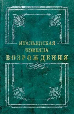 Джиральди Чинтио Итальянская новелла Возрождения обложка книги