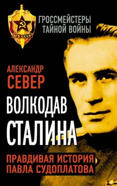 Александр Север Волкодав Сталина. Правдивая история Павла Судоплатова обложка книги