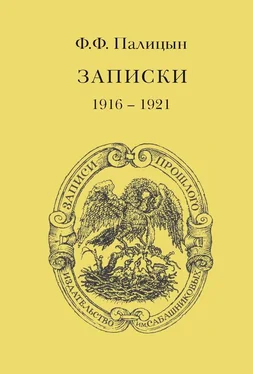 Федор Палицын Записки. Том II. Франция (1916–1921) обложка книги