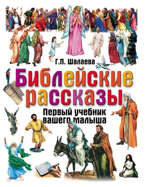 Галина Шалаева Библейские рассказы обложка книги