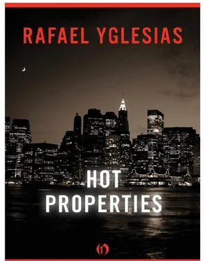 Rafael Yglesias Hot Properties обложка книги