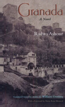 Radwa Ashour Granada обложка книги