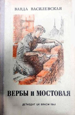 Ванда Василевская Вербы и мостовая обложка книги
