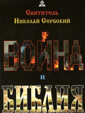 свт.Николай Сербский Война и Библия обложка книги