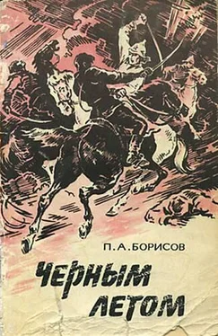 Петр Борисов Черным летом обложка книги