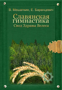 Евгений Баранцевич Славянская гимнастика. Свод Здравы Велеса обложка книги