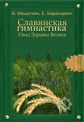 Евгений Баранцевич - Славянская гимнастика. Свод Здравы Велеса