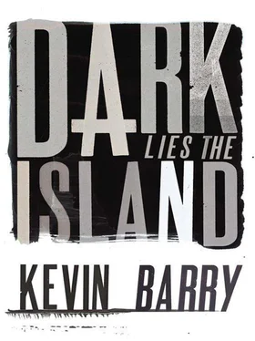 Kevin Barry Dark Lies the Island обложка книги