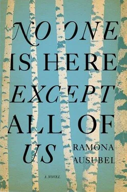 Ramona Ausubel No One is Here Except All of Us обложка книги