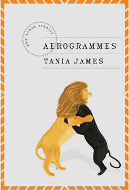 Tania James Aerogrammes: and Other Stories обложка книги