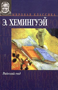 Эрнест Хемингуэй Райский сад обложка книги