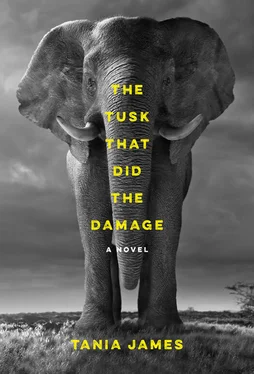 Tania James The Tusk That Did the Damage обложка книги