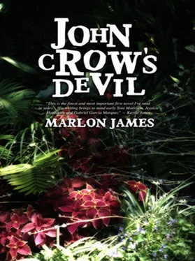 James Marlon John Crow's Devil обложка книги