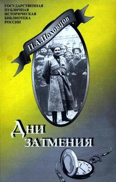 Пётр Половцов Дни Затмения обложка книги