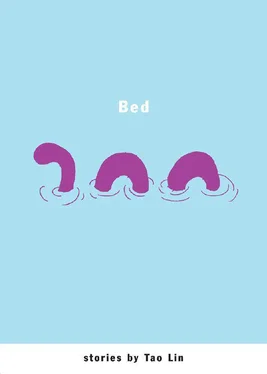 Tao Lin Bed обложка книги