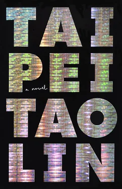 Tao Lin Taipei обложка книги