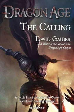 David Gaider The Calling обложка книги