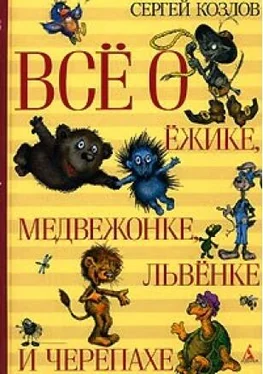 Сергей Козлов Всё о Ёжике, Медвежонке, Львёнке и Черепахе обложка книги