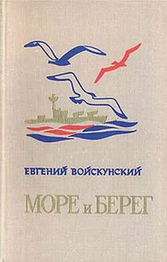 Евгений Войскунский Трудный год на полуострове Ханко