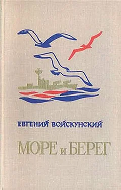 Евгений Войскунский Отчаянный обложка книги