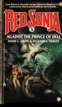 David Smith Against the Prince of Hell обложка книги