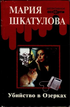 Мария Шкатулова Убийство в Озерках обложка книги