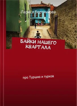 Лариса Бортникова Байки нашего квартала [Про Турцию и турков]