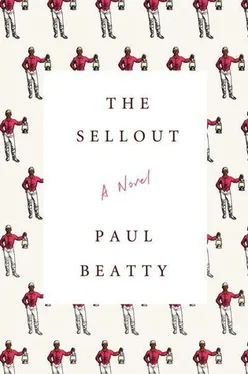 Paul Beatty The Sellout обложка книги