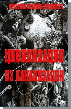 Вячеслав Поляков-Прокопьев Цивилизация из канализации обложка книги