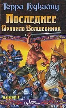 Терри Гудкайнд Последнее Правило Волшебника, или Исповедница. Книга 1 обложка книги