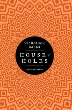 Nicholson Baker House of Holes обложка книги