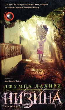 Джумпа Лахири Низина обложка книги