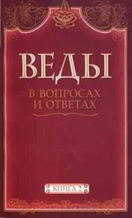Анил Камараджу - Веды в вопросах и ответах (книга 2)