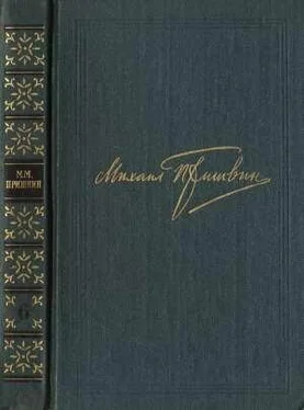 Михаил Пришвин Том 6. Осударева дорога. Корабельная чаща обложка книги