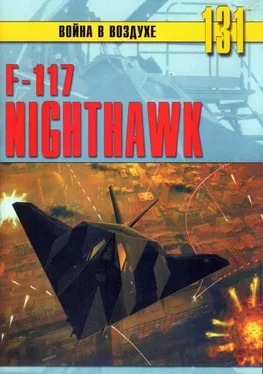 Михаил Никольский F-117 Nighthawk обложка книги