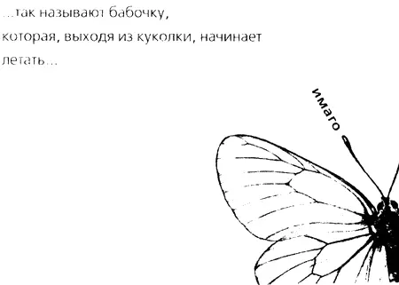 Фанни Жоли Когда я стану кошкой Ева вне рая и ада Апрель 3 АПРЕЛЯ - фото 1