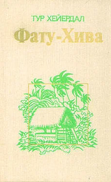 Тур Хейердал Фату-Хива. Возврат к природе обложка книги