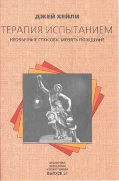 Джей Хейли Терапия испытанием обложка книги