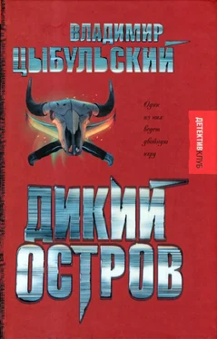 Владимир Цыбульский Дикий остров обложка книги