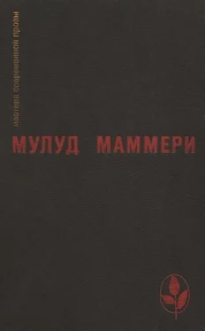 Мулуд Маммери Избранное обложка книги