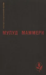 Мулуд Маммери - Избранное