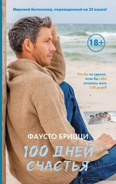 Фаусто Брицци 100 дней счастья обложка книги