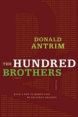 Donald Antrim The Hundred Brothers