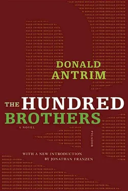 Donald Antrim The Hundred Brothers обложка книги